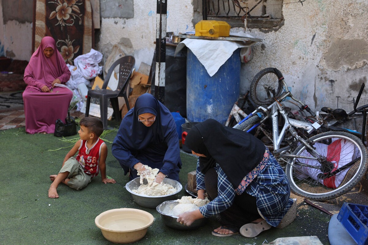 Мать-тунеска боится потерять своих дочерей-близнецов